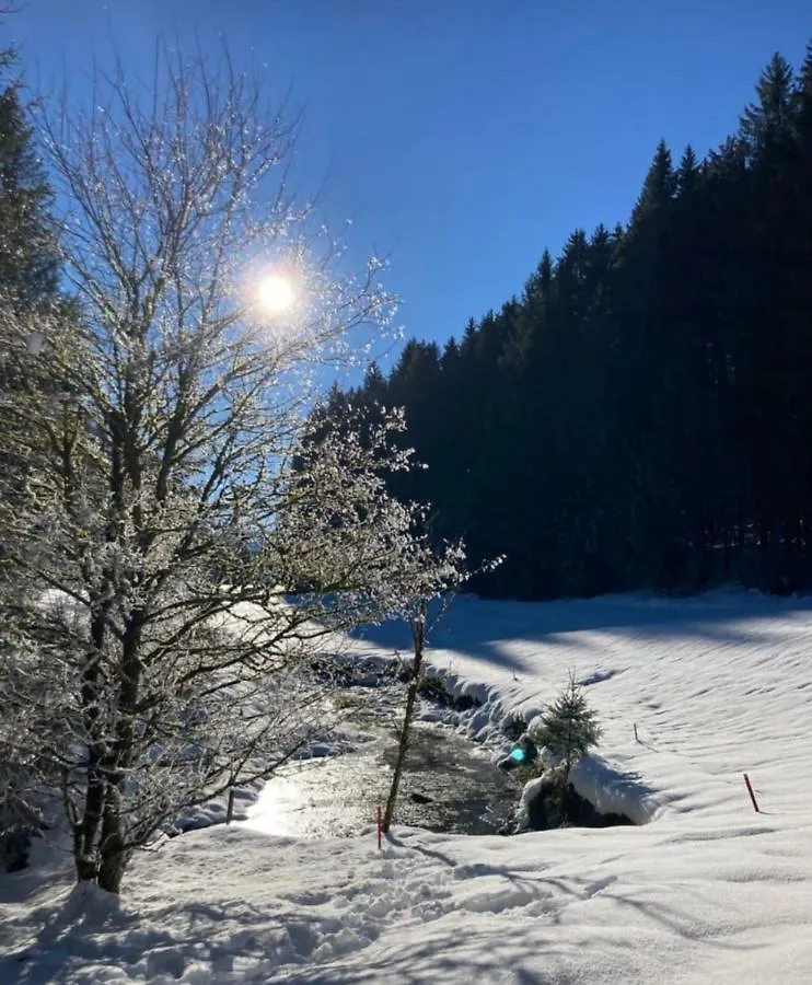 Fewo Am Gribesgraben Sonthofen Germany