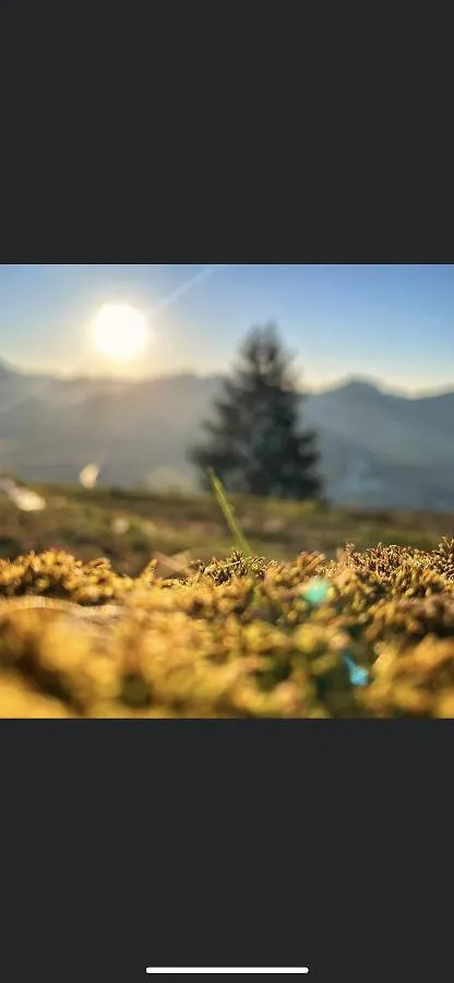 Fewo Am Gribesgraben Sonthofen